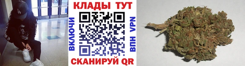 Купить закладку Перевоз A PVP  Марихуана  Псилоцибиновые грибы  НБОМе  Кокаин 