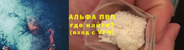 стафф Дмитриев