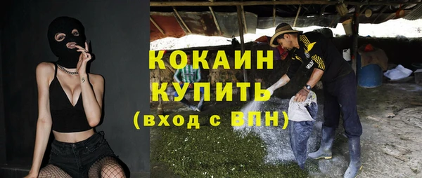 стафф Дмитриев