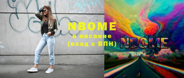 амф Новозыбков