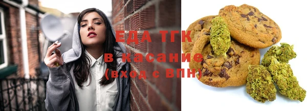 амф Новозыбков