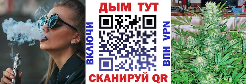 купить   Перевоз  Каннабис SATIVA & INDICA 